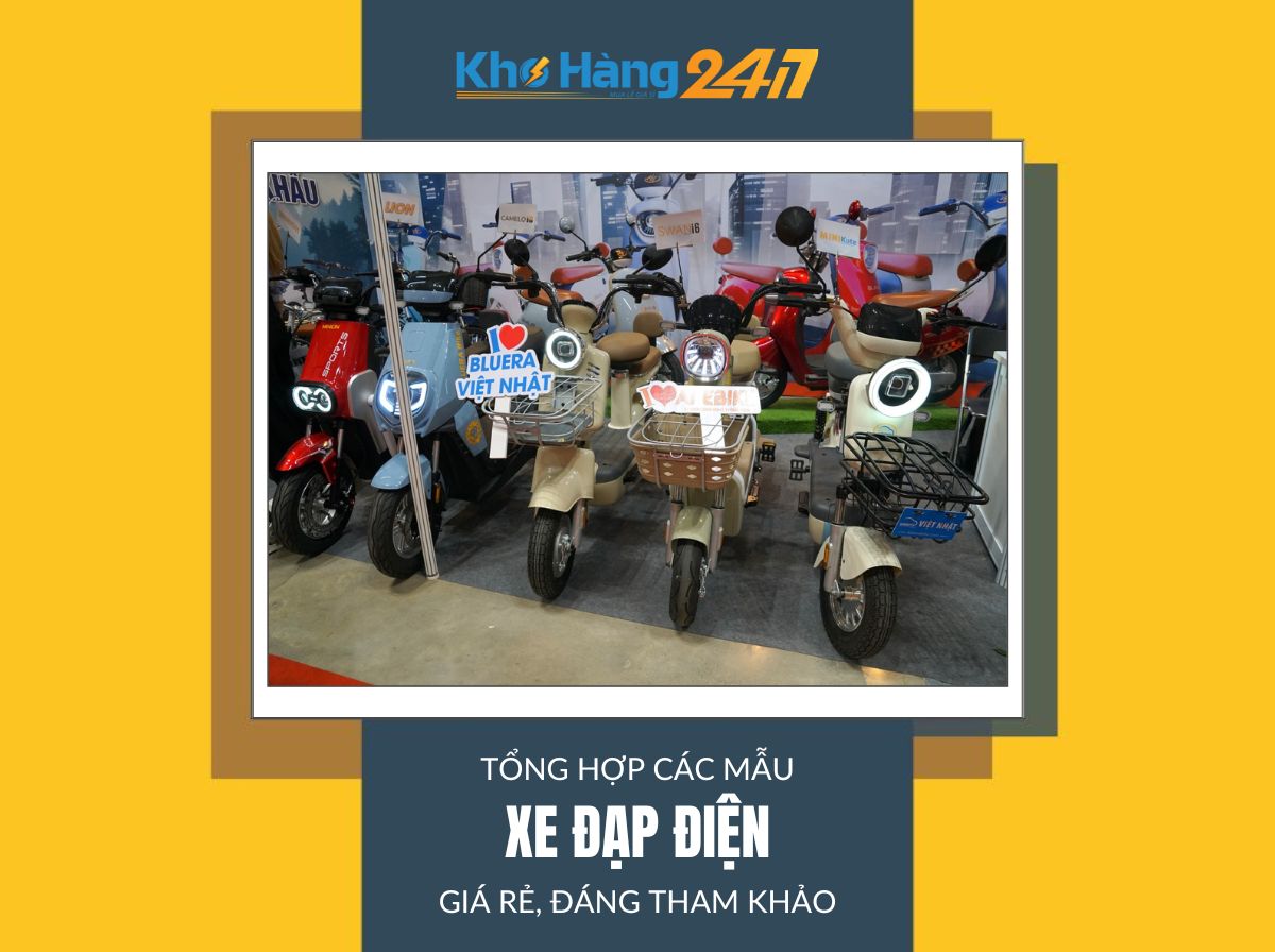 xe đạp điện giá rẻ