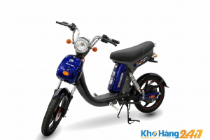 NIJIA TERRA MOTORS KT lon 02 300x200 - Xe đạp điện Nijia Tera Motors