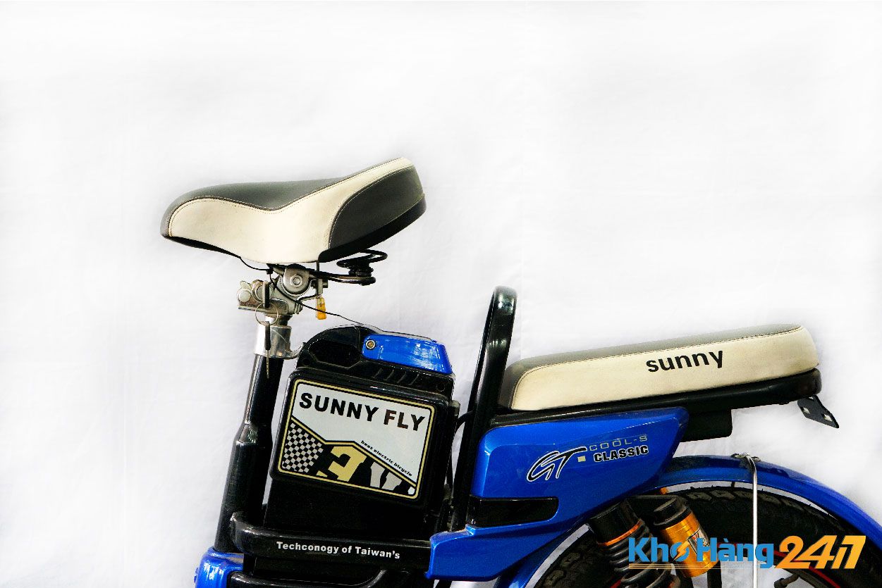 xe dap dien sunny fly cu 05 - Xe đạp điện Sunny Fly xanh cũ