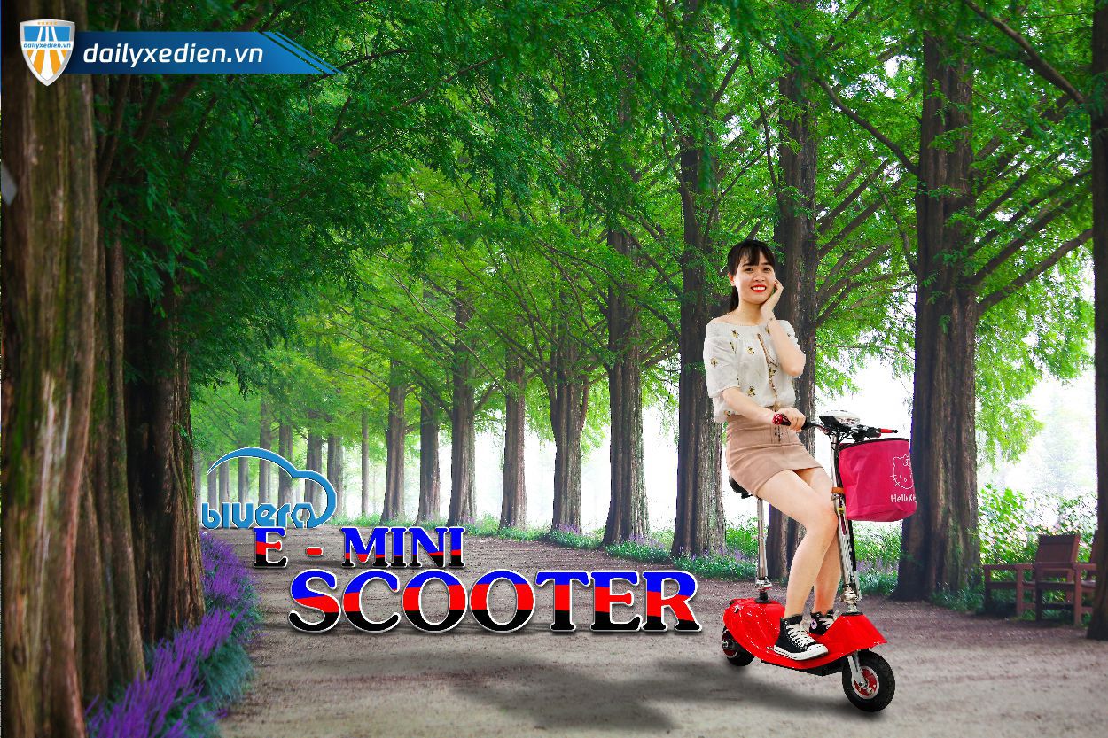 E Mini Scooter chitiet 01 05 - Xe điện Mini thanh lý cực hấp dẫn, giá tốt nhất hiện nay