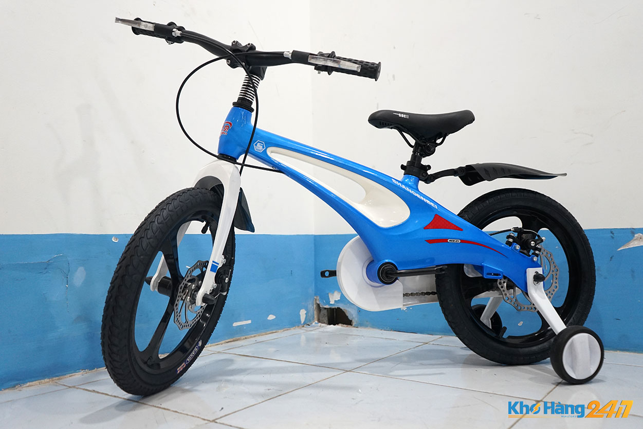Xe đạp trẻ em nam Wiibike WallE Kid 411 tuổi